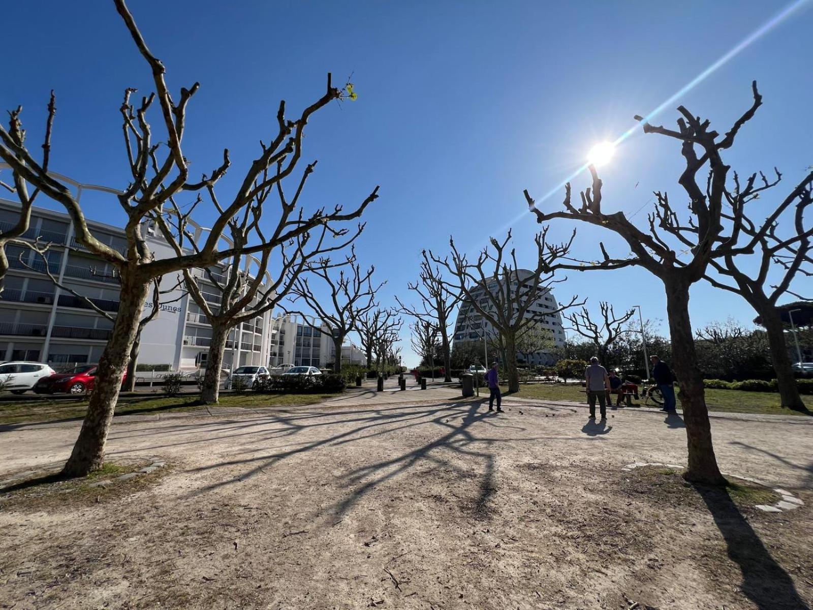 Sol-y-days Escale, En Premiere Ligne Face A La *
